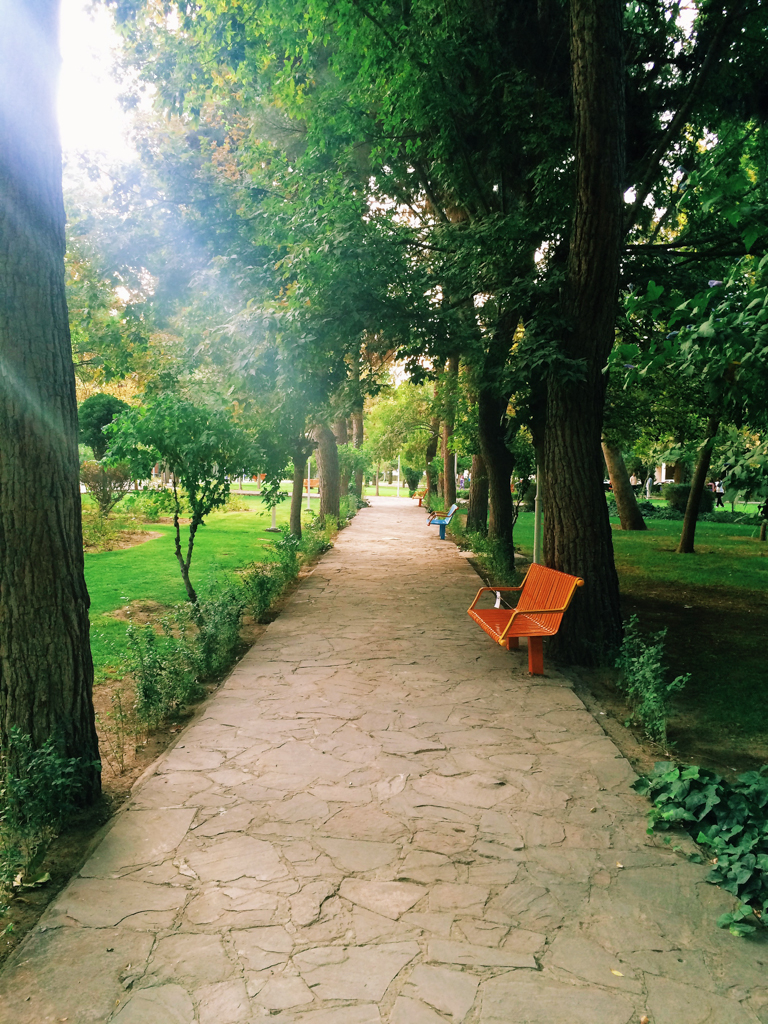 The beautiful pathway in the park