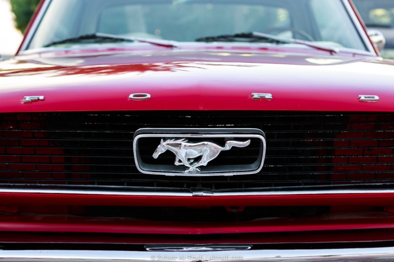 zuhair_altraifi_photography-6591