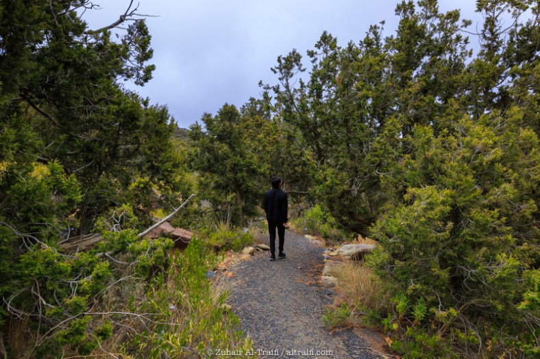 zuhair_altraifi_photography-7497