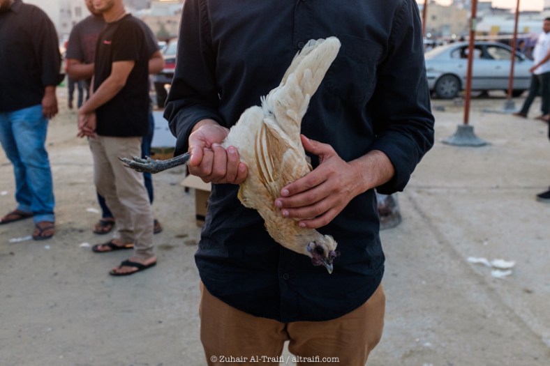 zuhair_altraifi_photography-6235