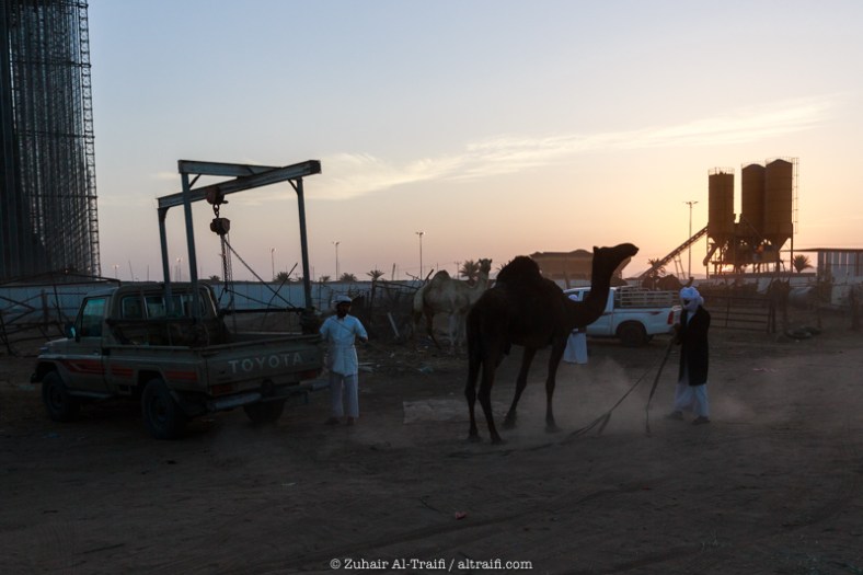 zuhair_altraifi_photography-8157