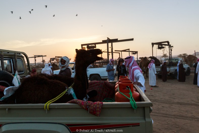 zuhair_altraifi_photography-8169