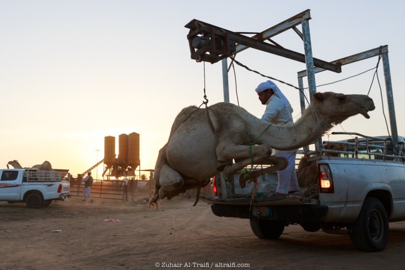 zuhair_altraifi_photography-8195