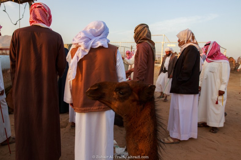 zuhair_altraifi_photography-8292