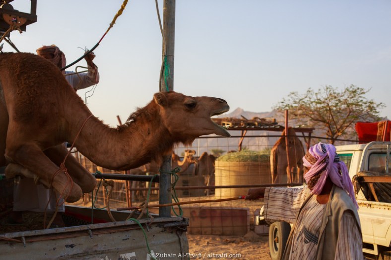 zuhair_altraifi_photography-8364