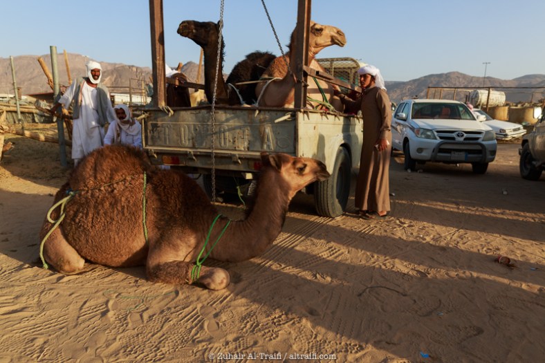 zuhair_altraifi_photography-8461