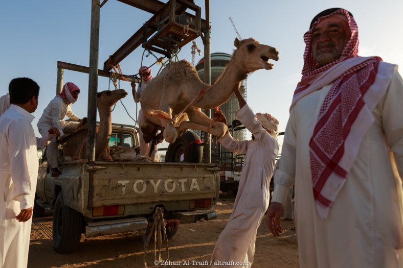 zuhair_altraifi_photography-8471