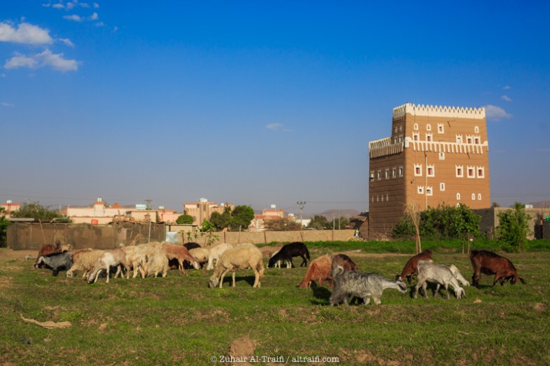 zuhair_altraifi_photography-8585