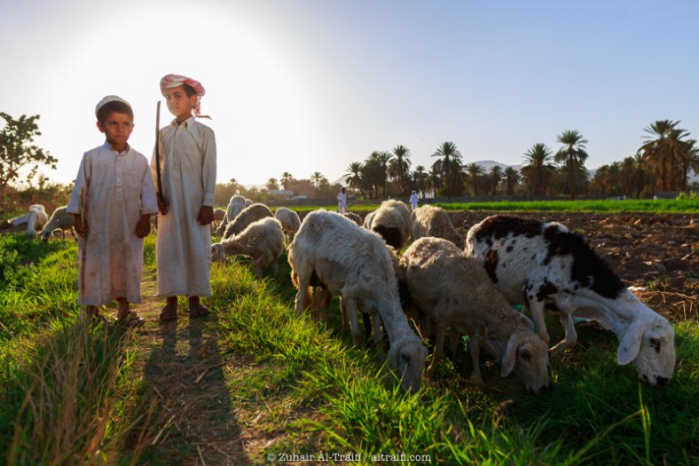 zuhair_altraifi_photography-8777