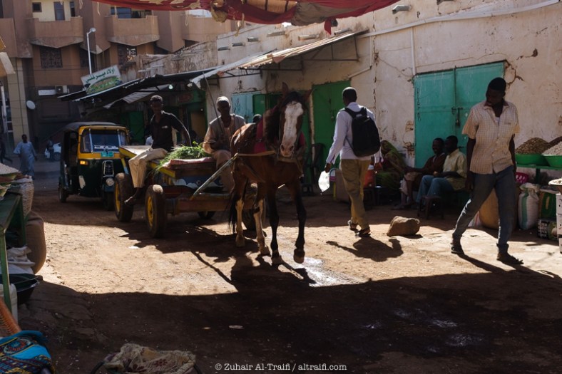 zuhair_altraifi_photography-1944