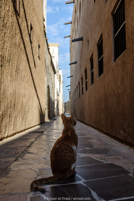 zuhair_altraifi_photography-7796