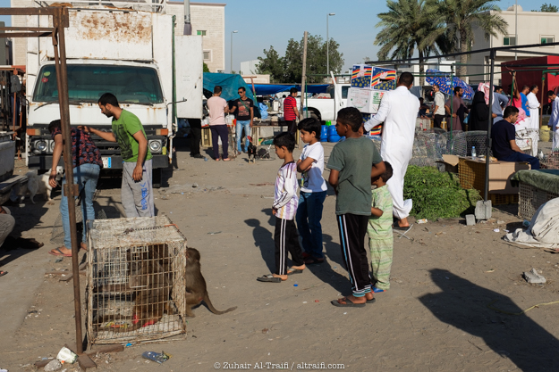 zuhair_altraifi_photography-1237