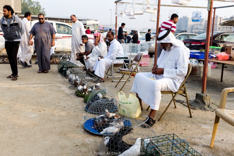 zuhair_altraifi_photography-4260