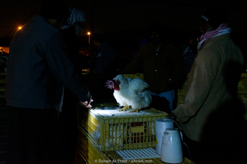 zuhair_altraifi_photography-7915