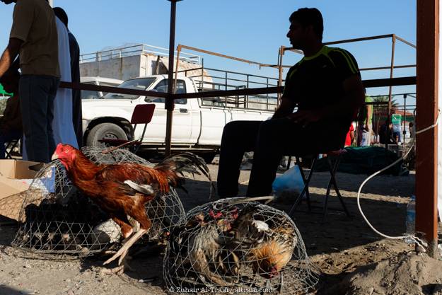 zuhair_altraifi_photography-1206